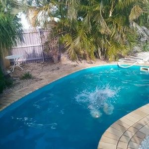 Meet your Posher, Gail